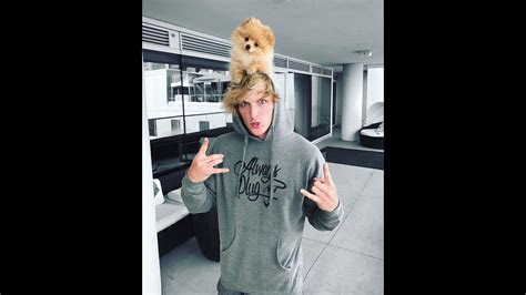 Best Logan Paul Vines Compilations Video 2017 Youtube