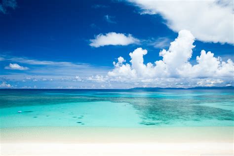 Tropical Beach Ultra Hd Desktop Background Wallpaper For
