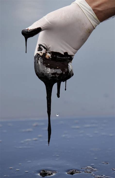 Deepwater Horizon Update Bp Oil Spill Five Years On