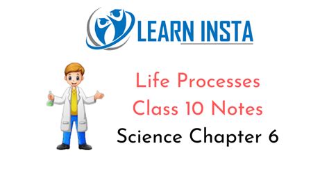 Life Processes Class Notes Science Chapter Ncert Mcq