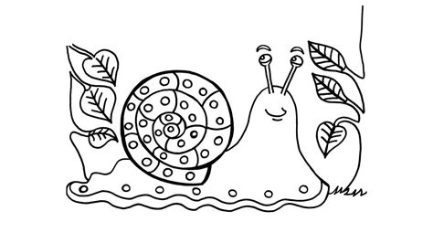 Dibujo Para Colorear De Caracol 2366