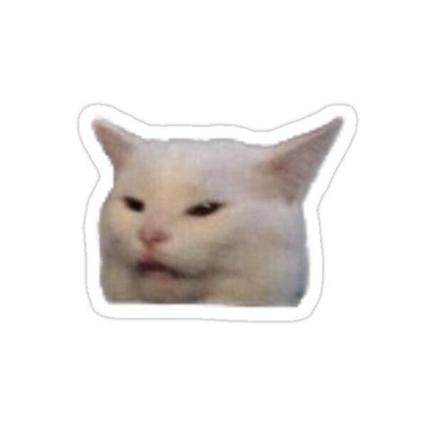 Smudge Cat Meme Png A Collection Of The Top 47 Cat Meme Wallpapers