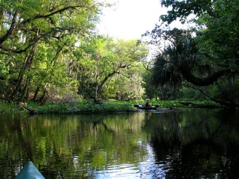 The Most Beautiful Natural Springs Near Orlando