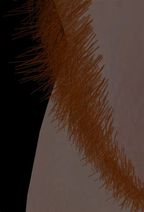 Good Pubic Hair Mod For Cbbe 3d Page 2 Request And Find Skyrim