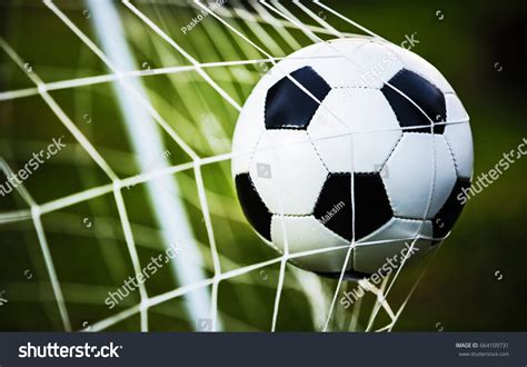 Soccer Ball Goal On Green Grass Stock Photo 664109731 Shutterstock