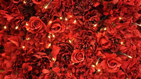Red Roses And Lights Hd Red Aesthetic Wallpapers Hd Wallpapers Id