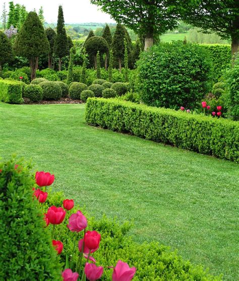 41 Incredible Garden Hedge Ideas For Your Yard Garden Hedges Simple