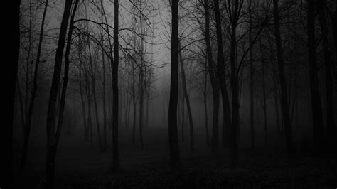 Black And White Twilight Tree Dark Forest Darkness Atmosphere