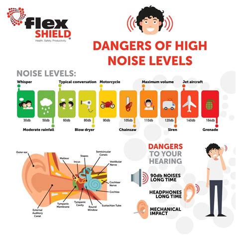 How Noise Induced Hearing Nihl Loss Can Be Prevented Flexshield