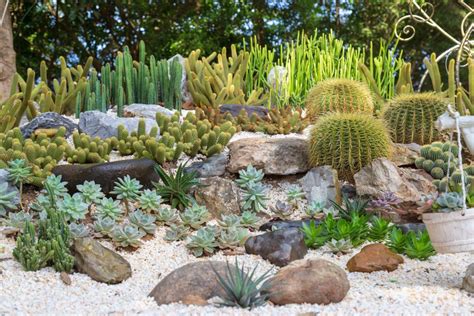 40 Beautiful Rock Garden Ideas In 2020 Storables
