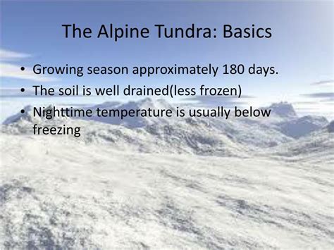 Ppt The Tundra Biome Powerpoint Presentation Free Download Id2181872