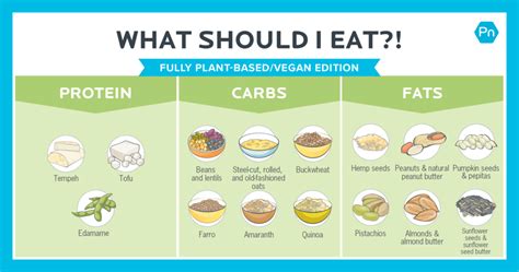 fully plant based food list what to eat on a vegan diet [infographic]