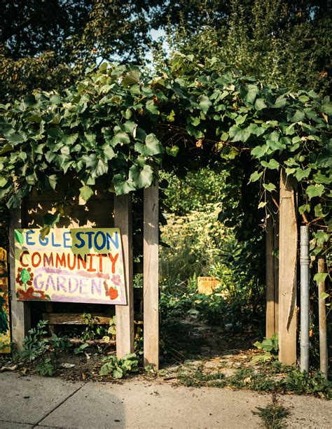 Good Things Grow In Forests Boston Food Forest Coalition Nourishes