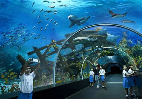 Universal Studios Singapore And Sea Aquarium Tickets Aquarium Views