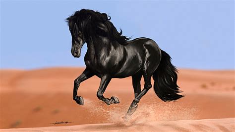 Black Horse With Shallow Background Of Desert And Blue Sky Hd Horse