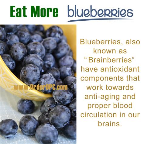 Benefits Of Adding Blueberries To Your Diet