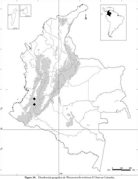 Croquis Mapa De Colombia Con Sus Regiones Para Colorear Images