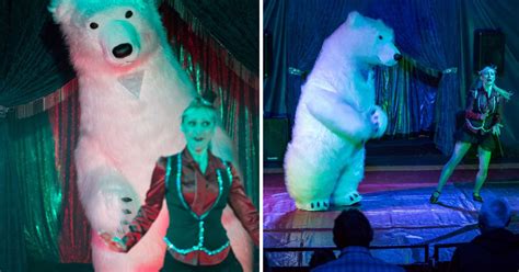 furious gran launches crusade against circus s dancing polar bear without realising it s a man