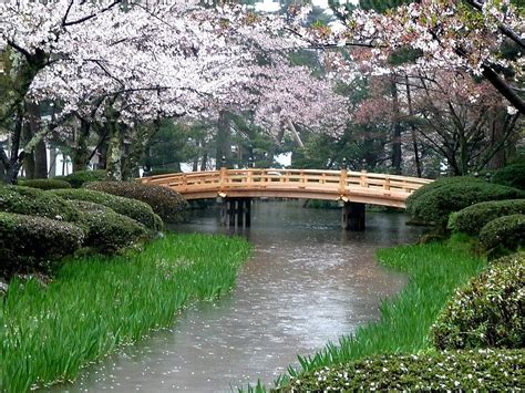 Other Japanese Garden Sakura Cherry Blossom River Japan Bridge Full Hd