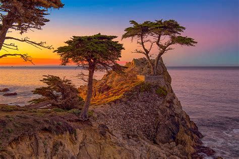 Lone Cypress Tree On The 17 Mile Drive Through The Pacific Flickr