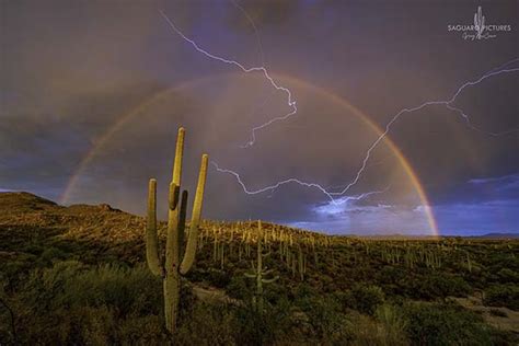 Saguaro Lightning Mobile Action Photo Tours