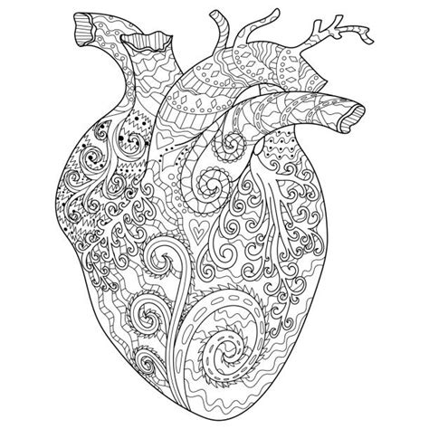 26 Best Ideas For Coloring Anatomical Heart Coloring Page