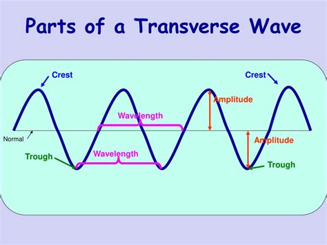 Parts Of A Transverse Wave