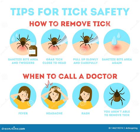 Tips For Tick Safety Infographic How To Protect Skin Vector