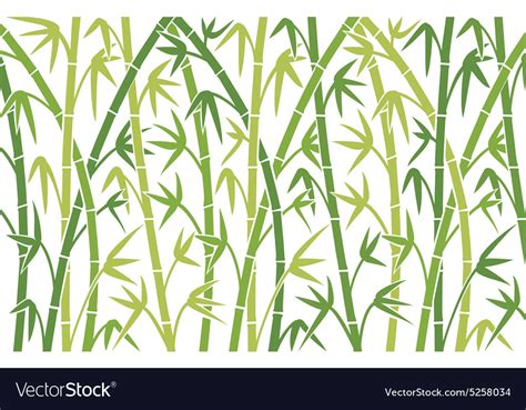 Bamboo Background Royalty Free Vector Image Vectorstock