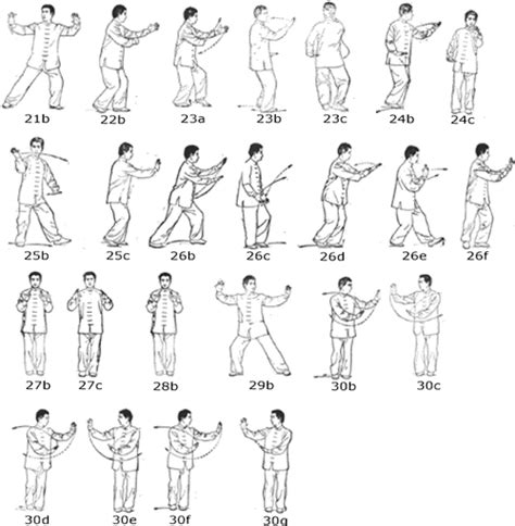 Arriba 100 Foto Forma Basica De 24 Movimientos Del Tai Chi Chuan