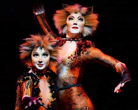 Cats (revival, musical, broadway) opened in new york city jul 31, 2016 and played through dec 30, 2017. Cats - Ticketcorner