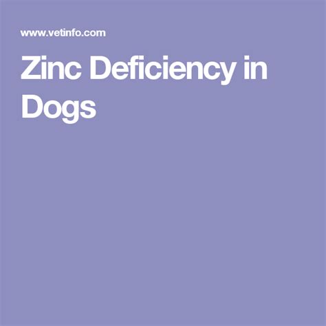 Zinc Deficiency In Dogs Zinc Deficiency Zinc Dogs