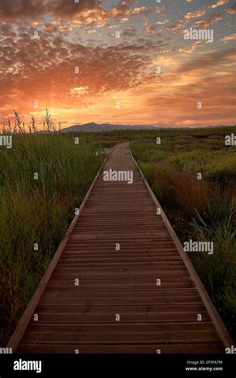 Wooden Path Over The Watermarshland Sunset With Clouds Solitary