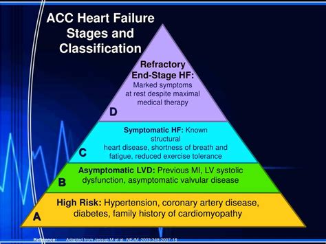 Acc Flow Chart Heart Failure