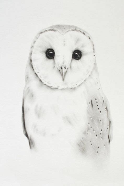 200 Owls In Art Ideas Art Owl Painting Owl