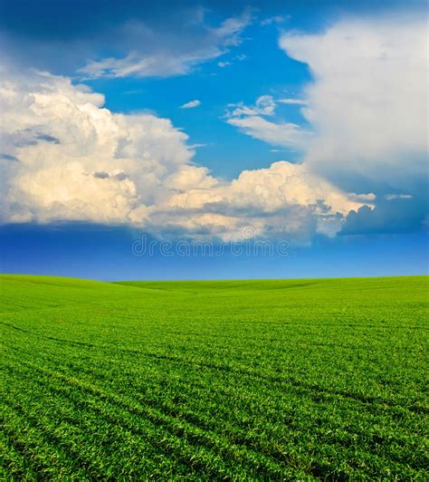 92690 Clouds Grass Green Hill Sky Tree Photos Free And Royalty Free