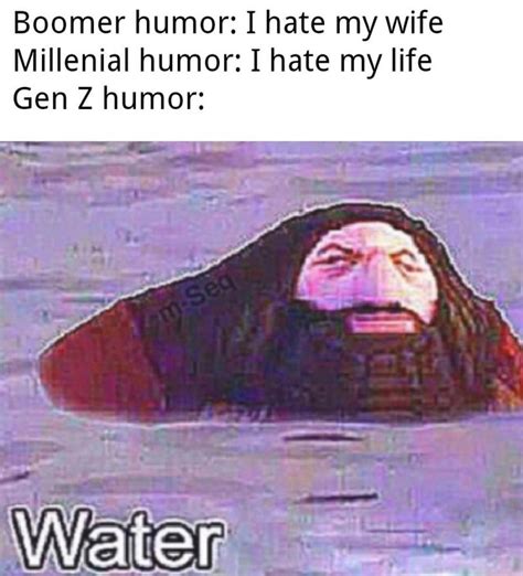 Gen z's humor is an unexplainable type of humor because there is no clear context of a presented joke called meme. Gen Z Humor > Boomer Humor : dankmemes