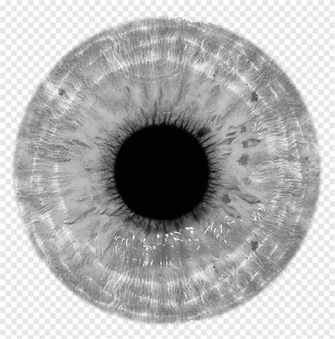 Eye Lenses Contact Lens Png PNGEgg