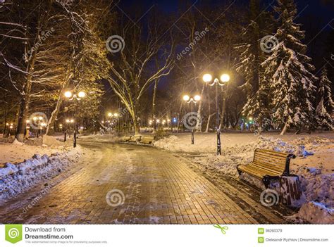 Winter Night Landscape Bench Under Trees And Shining