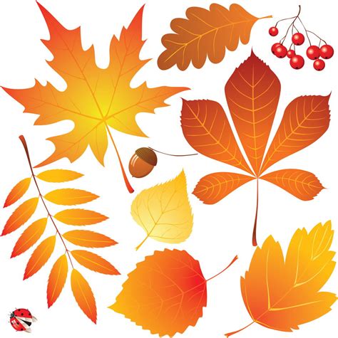 Картинки осенние листья для детей