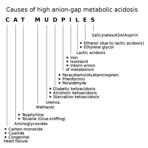 Filecat Mudpiles Causes Of High Anion Gap Metabolic Acidosissvg