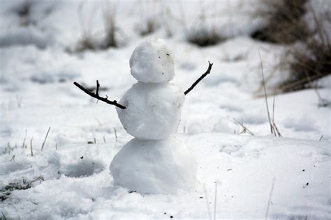 Fotos Gratis Fr O Blanco Hielo Clima Temporada Monigote De Nieve