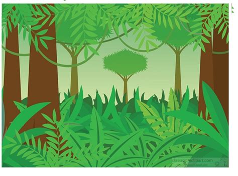 Geography Clipart Plants Jungle In Amazon Rain Forest Clipart