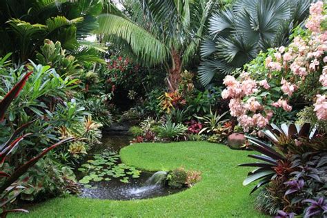 Tropical Garden Ideas Brisbane Home Designing