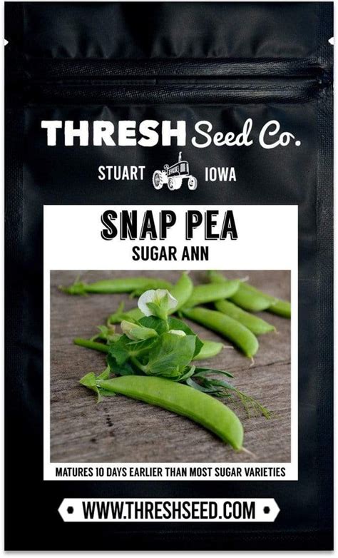 Sugar Ann Pea Thresh Seed Co