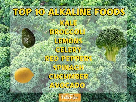 Top 10 Alkaline Foods Kale Broccoli Lemon Celery Red Pepper Spinach Cucumber Avocado