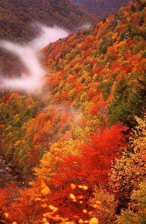 West Virginia Department Of Commerce Fall Foliage Autumn Scenery
