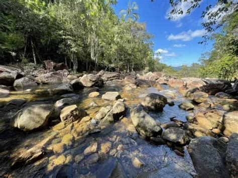 Best Hikes And Trails In Eungella National Park Alltrails