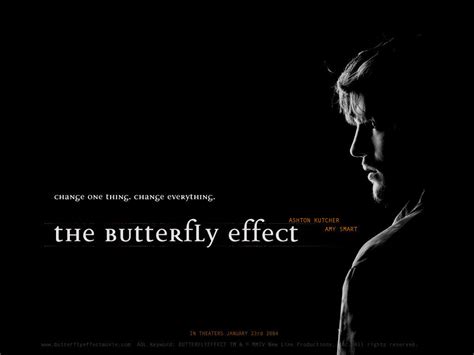 The Butterfly Effect The Butterfly Effect Wallpaper 18262533 Fanpop