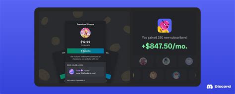 Server Subs 101 Earning Money On Discord